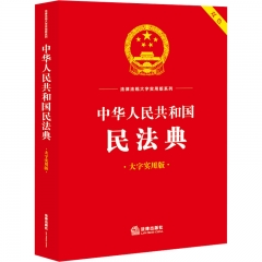 中华人民共和国民法典（大字实用版）【双色】（条文主旨、名词解释、实用问答、典型案例）